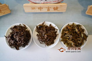 中吉號聯(lián)合茶業(yè)復(fù)興230期復(fù)興沙龍,麻黑為什么重要
