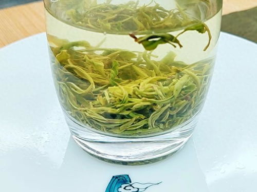 2023綠茶聯賽，江西隊出戰之狗牯腦茶登場