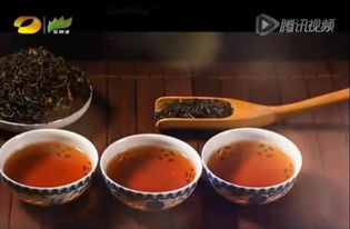 潤(rùn)元昌柑普茶 湖南廣電茶頻道傾情推薦，品味地道茶香